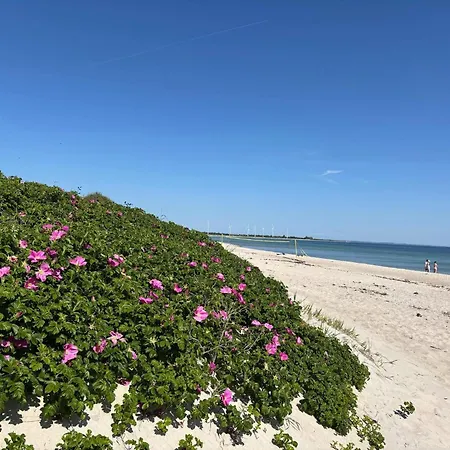 Hébergement de vacances 5 Star In Sydals *