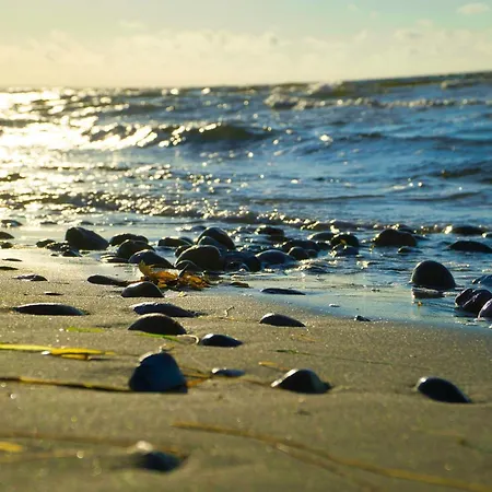 Hébergement de vacances 5 Star In Sydals